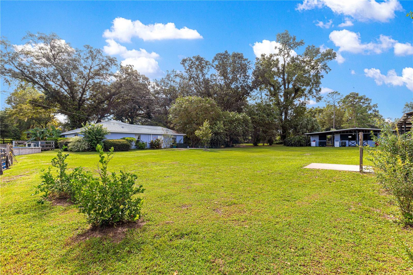 8221 SE 126TH PL, BELLEVIEW, FL — photo 16