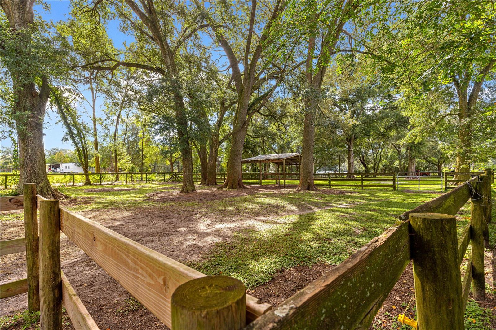 8221 SE 126TH PL, BELLEVIEW, FL — photo 22