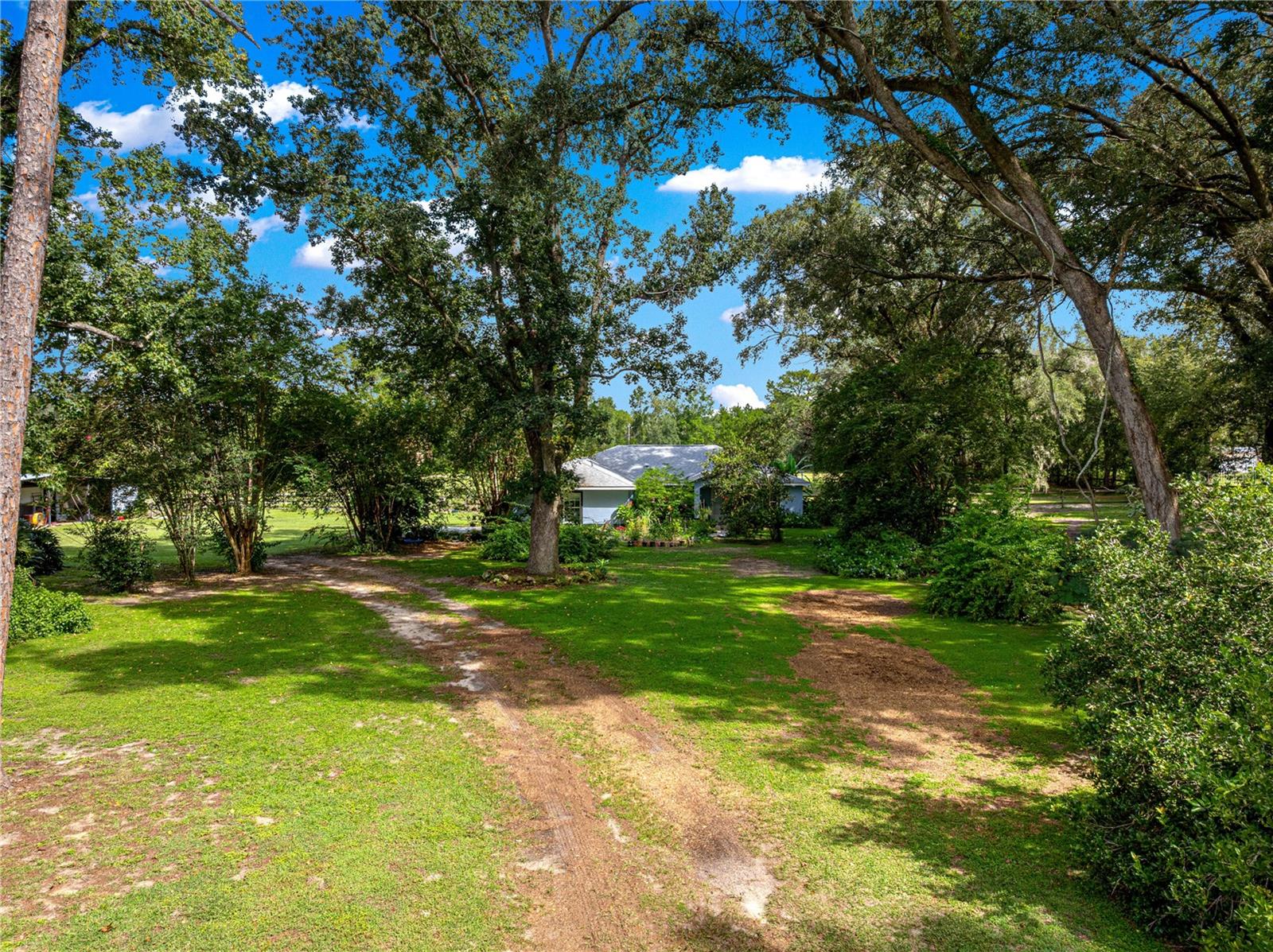 8221 SE 126TH PL, BELLEVIEW, FL — photo 51