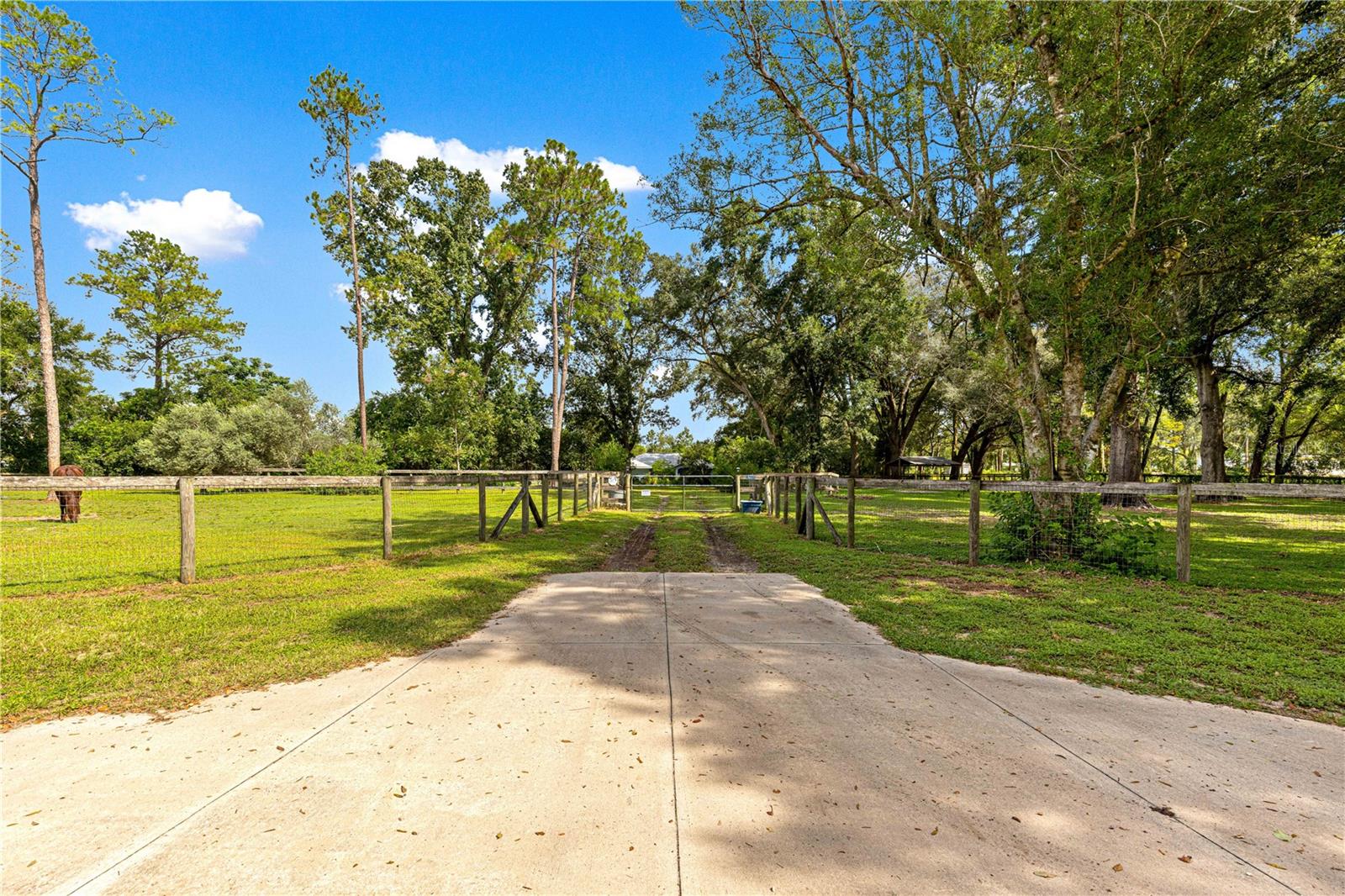 8221 SE 126TH PL, BELLEVIEW, FL — photo 52