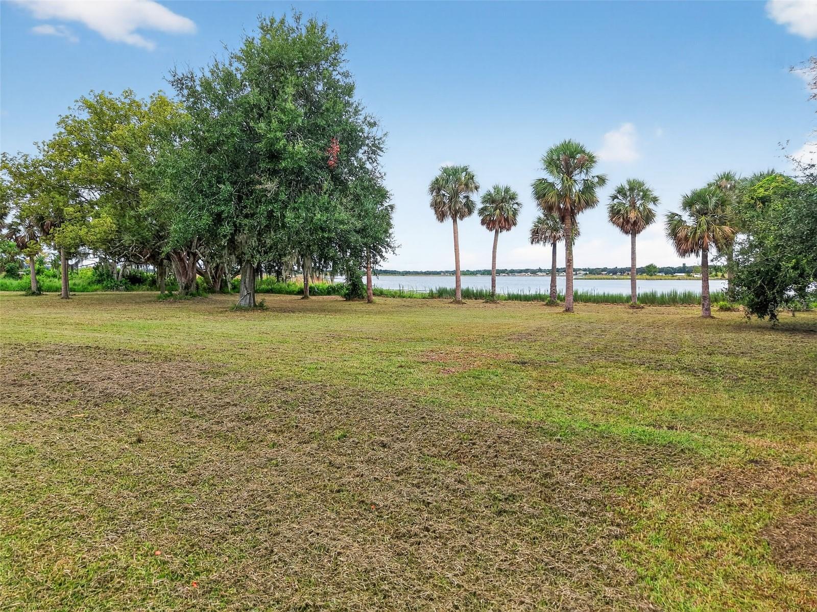 AMVETS WAY, MOUNT DORA, FL — photo 7