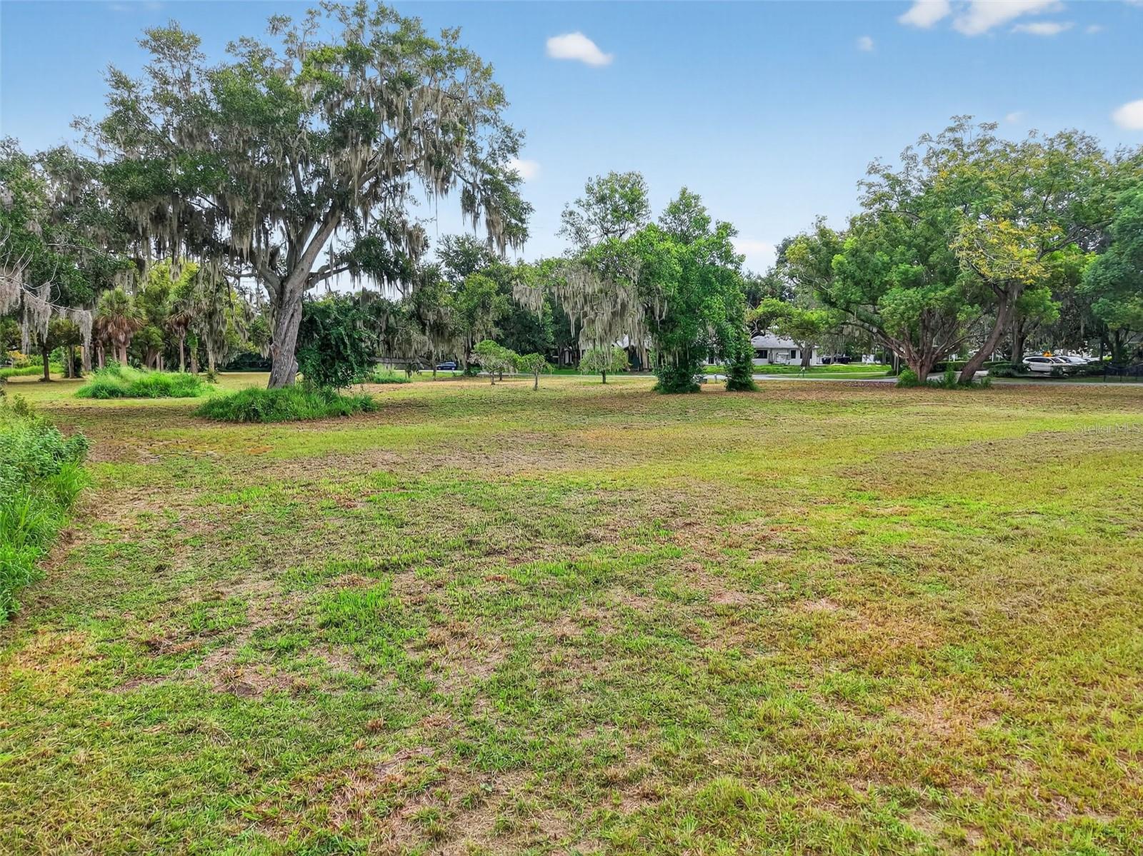 AMVETS WAY, MOUNT DORA, FL — photo 10