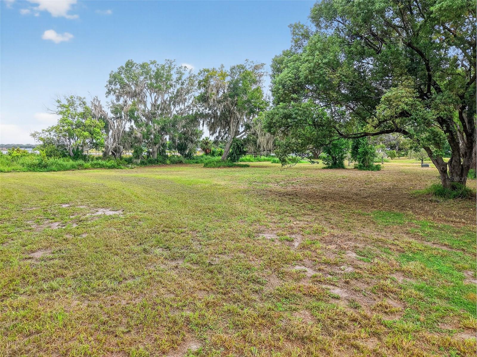 AMVETS WAY, MOUNT DORA, FL — photo 12
