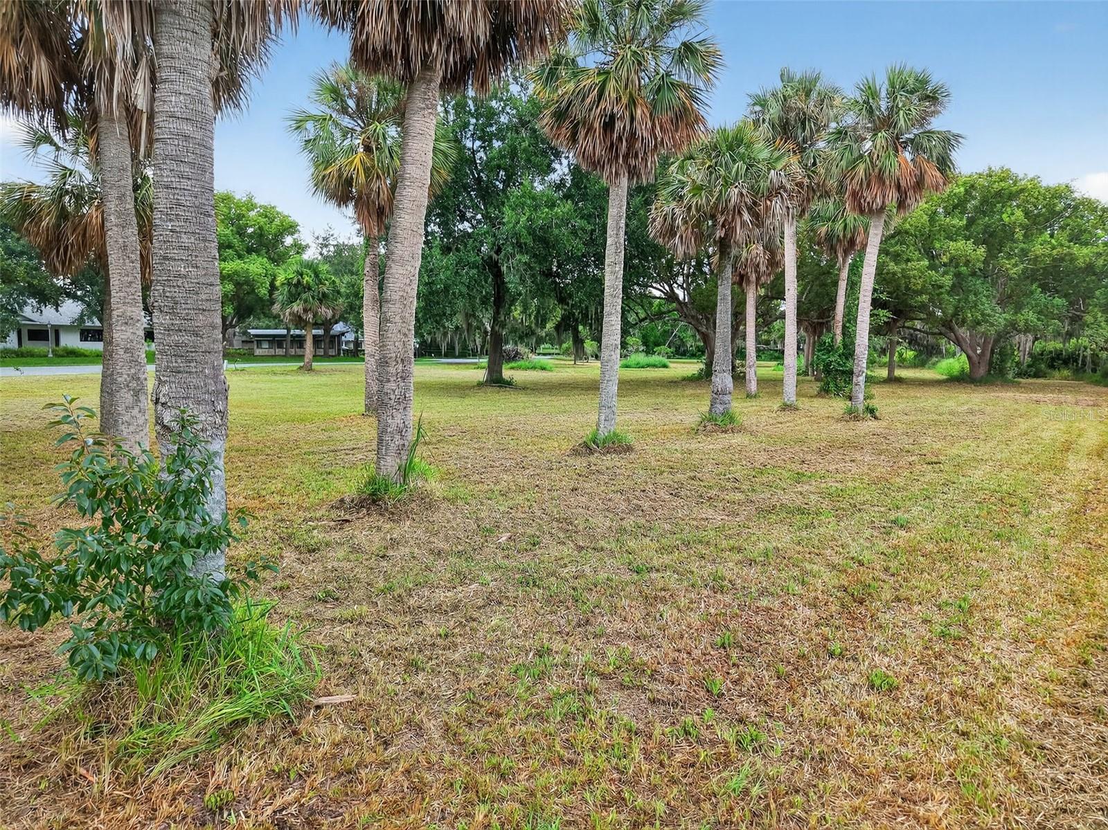 AMVETS WAY, MOUNT DORA, FL — photo 13
