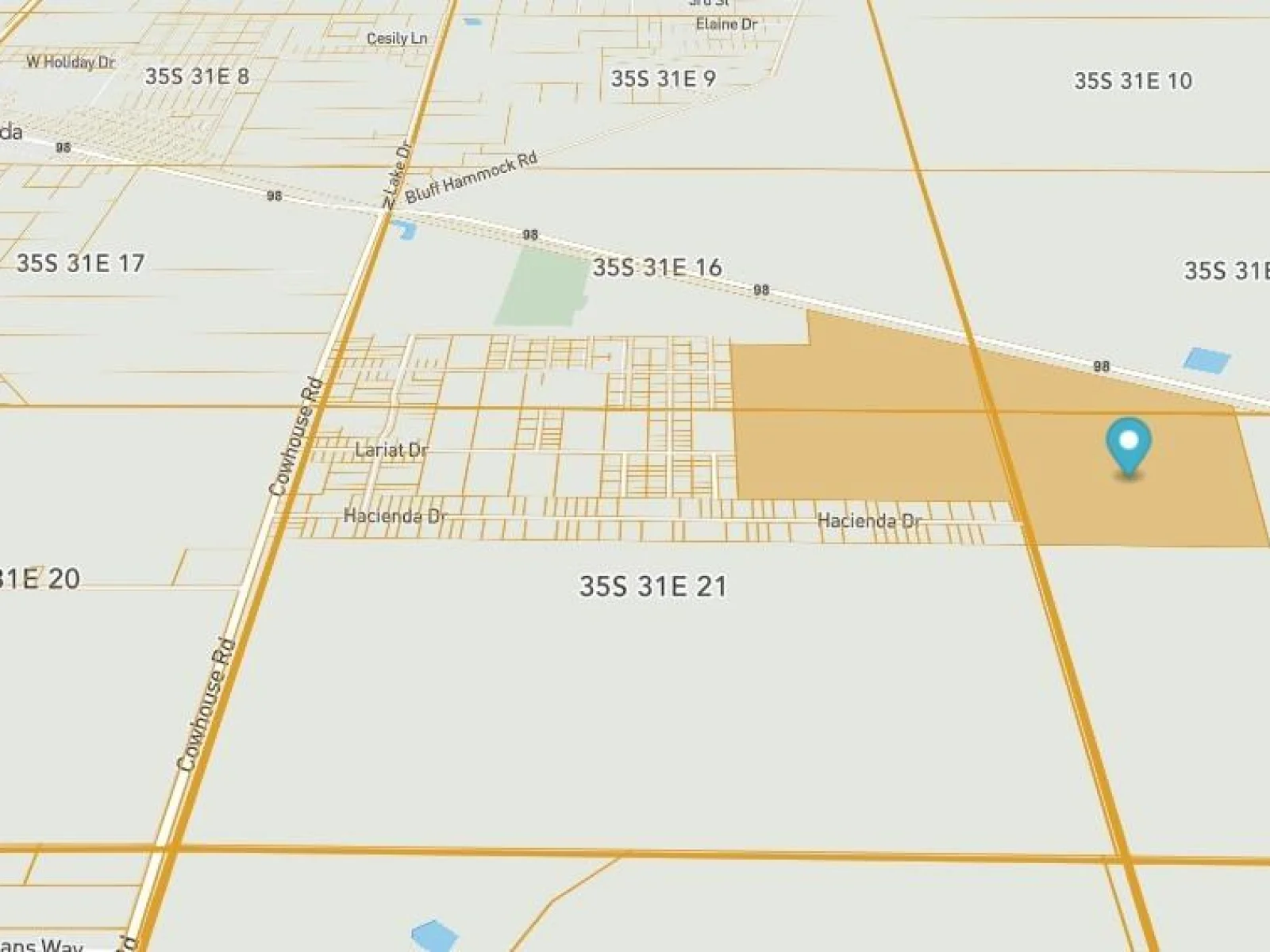 4333 US-98, LORIDA, FL — photo 8