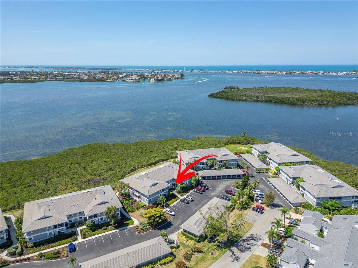 1343 PERICO POINT CIR #117, BRADENTON, FL — photo 64