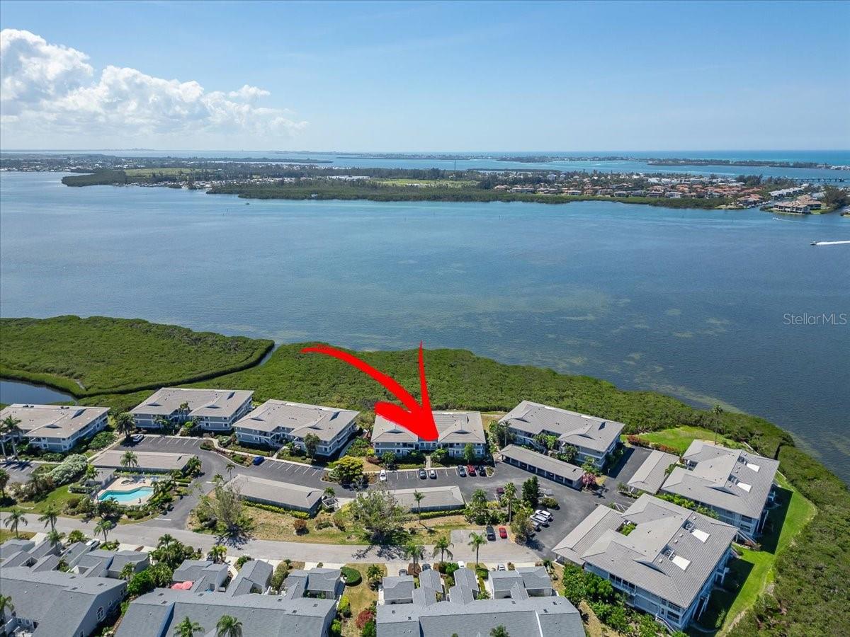 1343 PERICO POINT CIR #117, BRADENTON, FL — photo 66