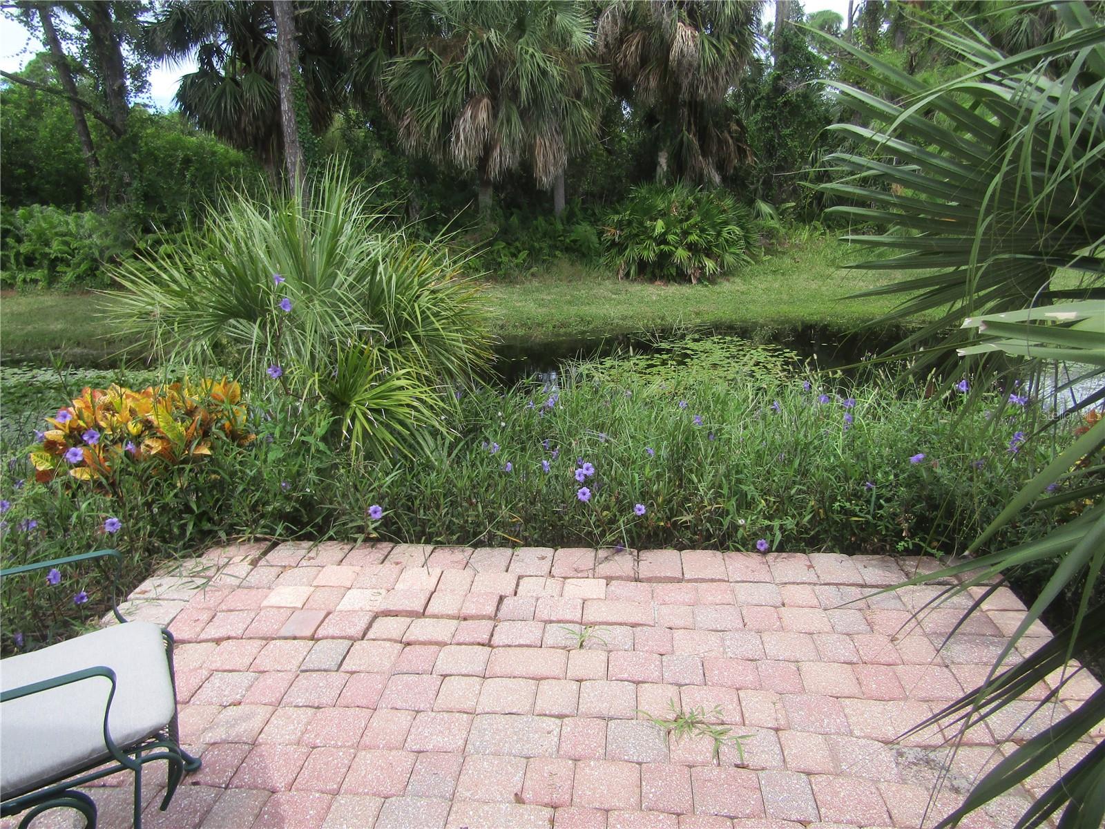 4137 BELLA PASQUE, VENICE, FL — photo 9