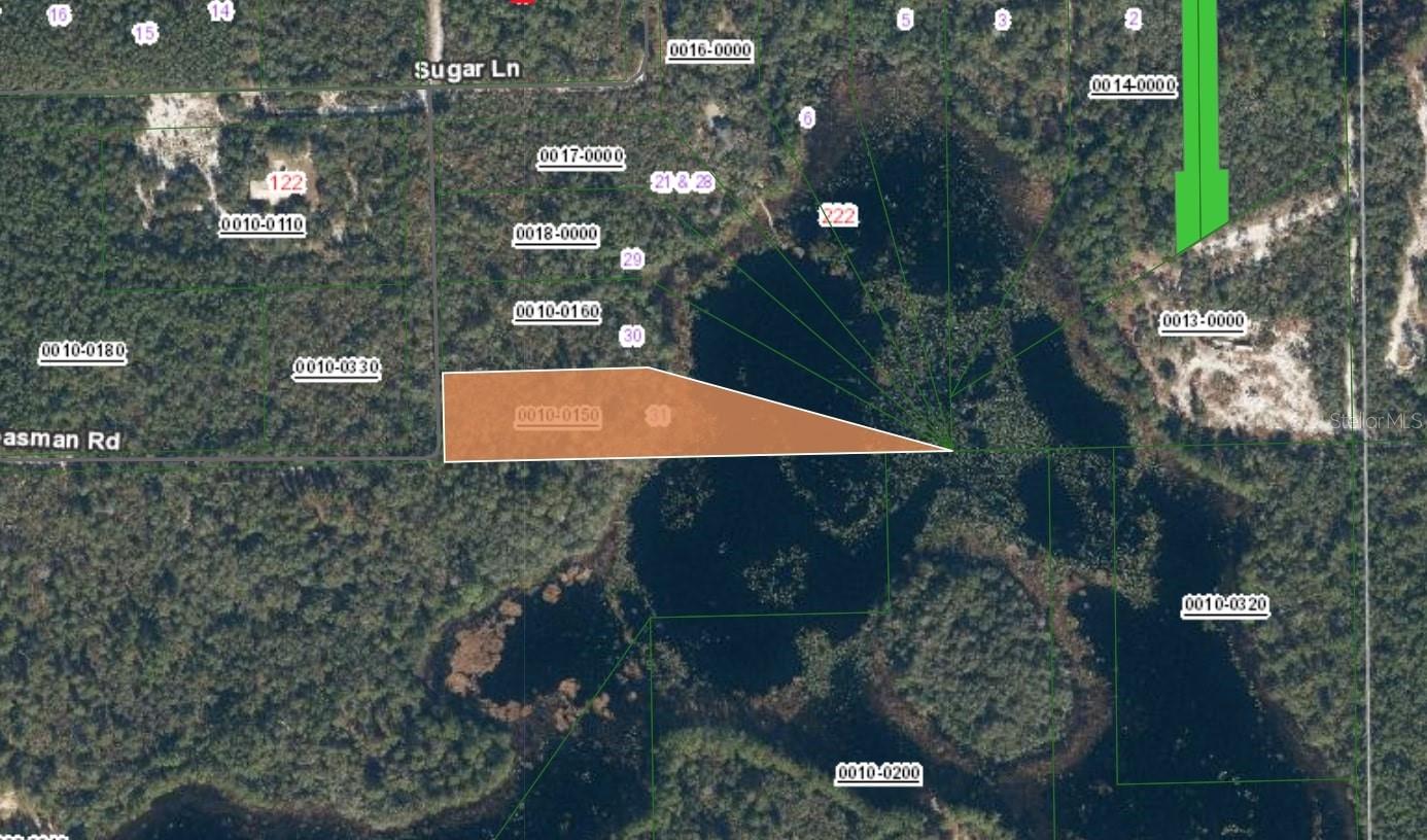 XX CREASMAN RD, CRESCENT CITY, FL — photo 2