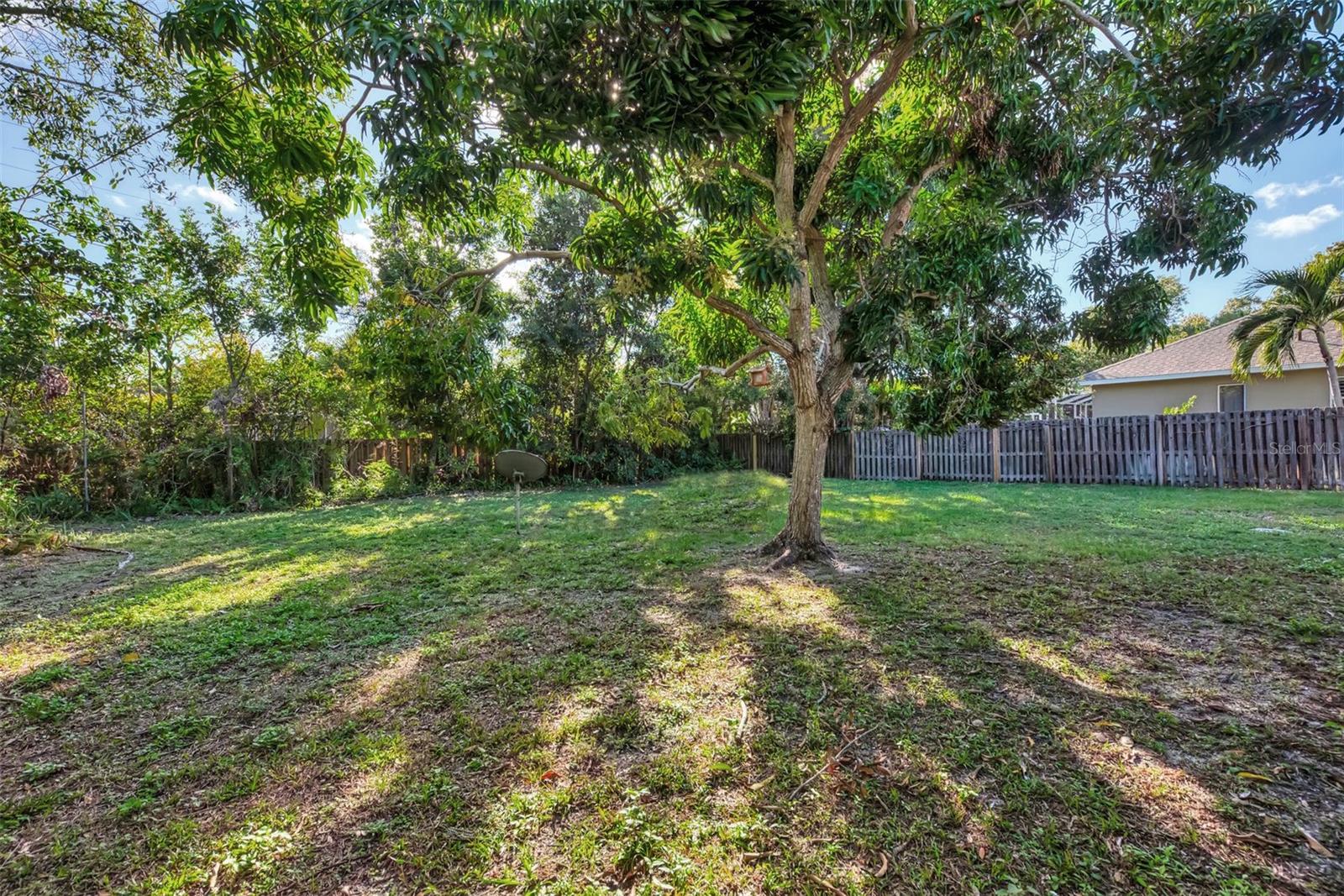 1726 FLOYD ST, SARASOTA, FL — photo 38