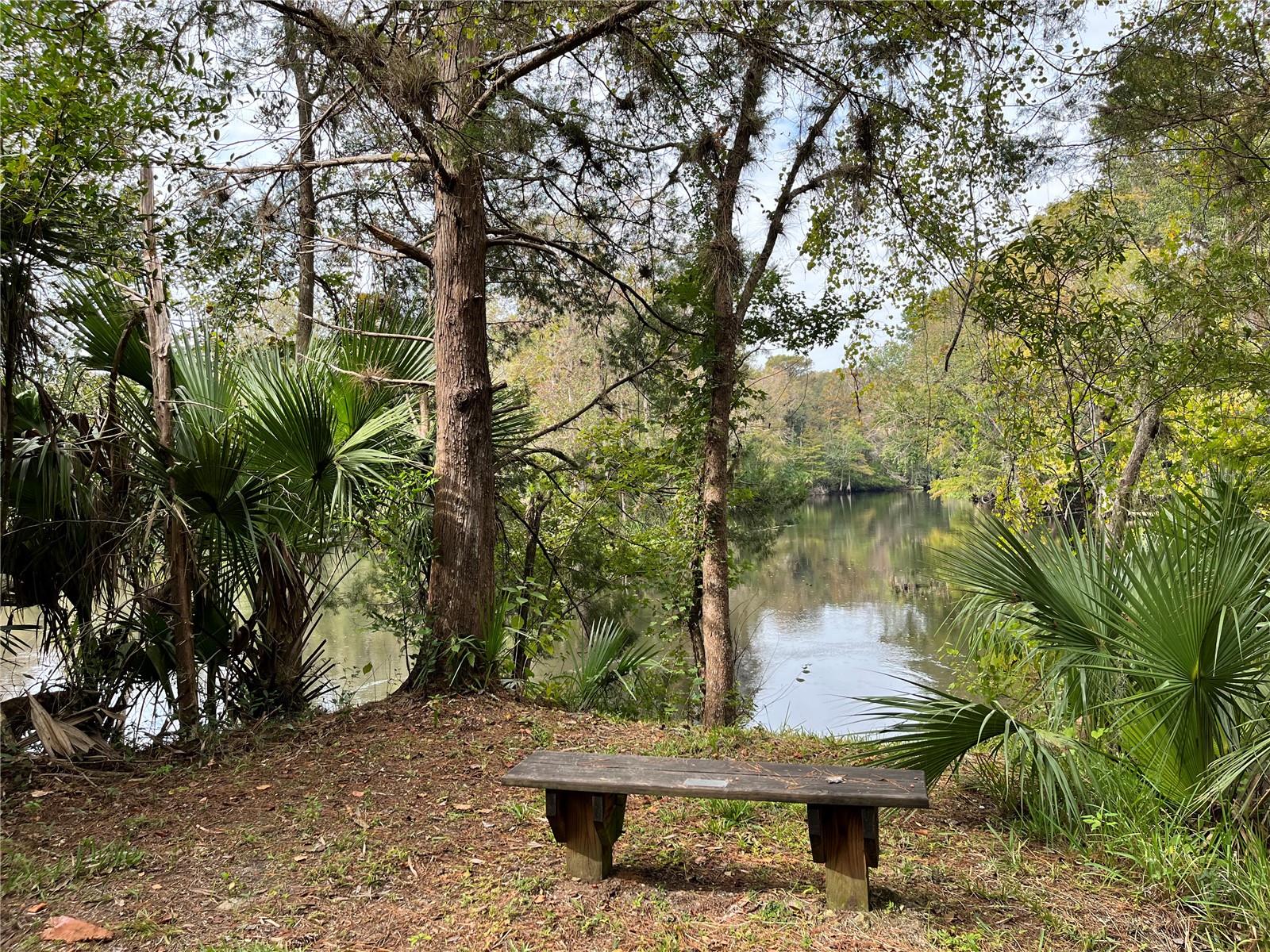 2870 NE 103RD AVE, SILVER SPRINGS, FL — photo 36
