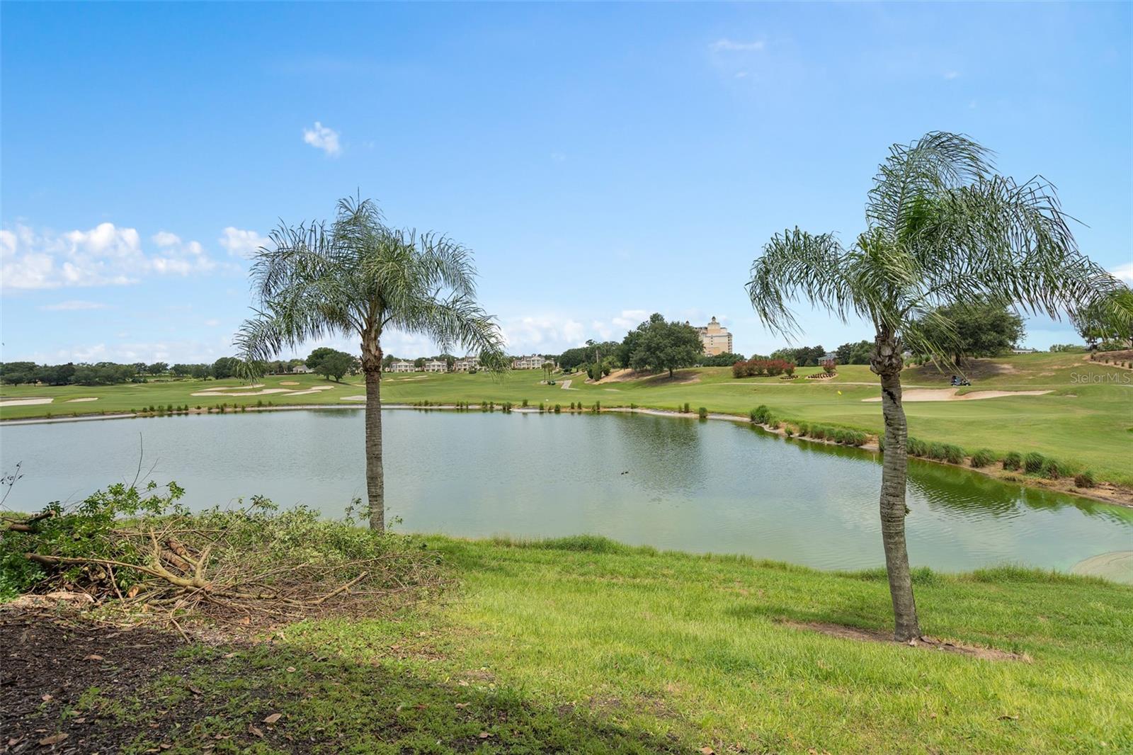 1402 TITIAN CT, REUNION, FL — photo 20