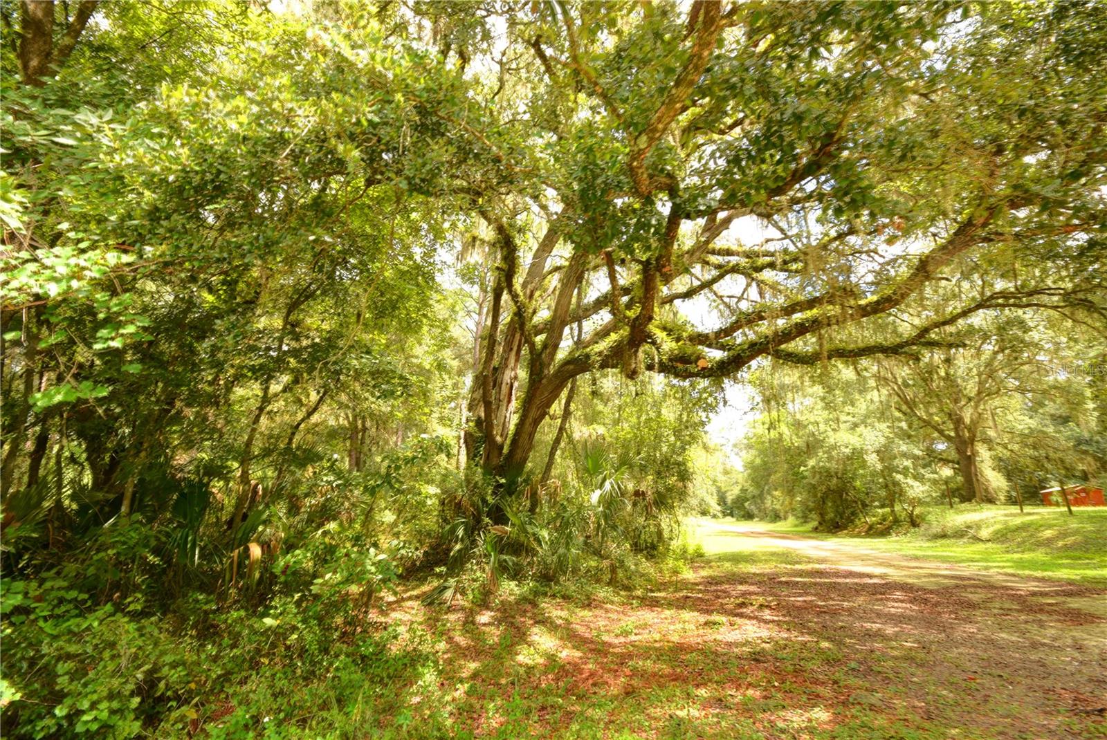 2259 W WILDFLOWER CT, DUNNELLON, FL — photo 2