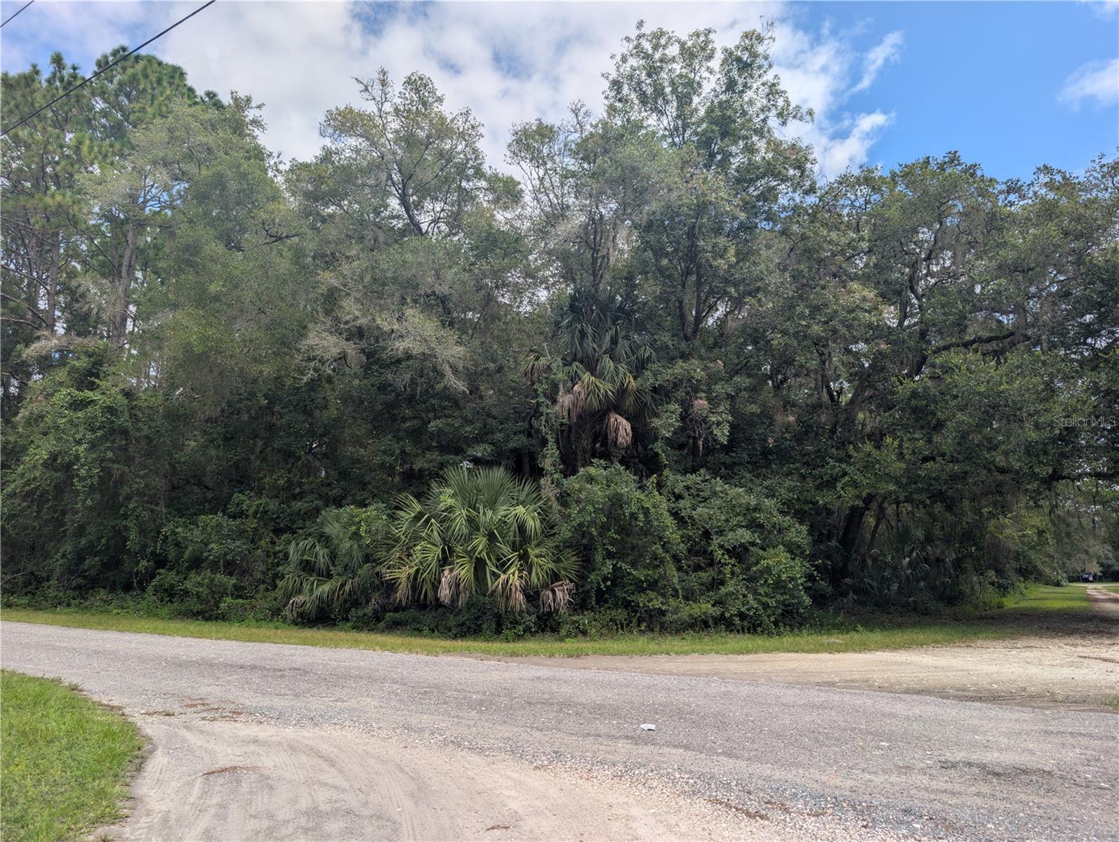 2259 W WILDFLOWER CT, DUNNELLON, FL — photo 3