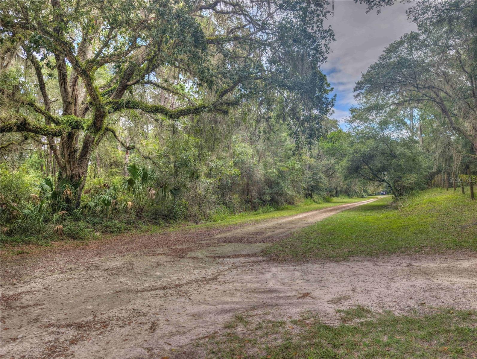 2259 W WILDFLOWER CT, DUNNELLON, FL — photo 7