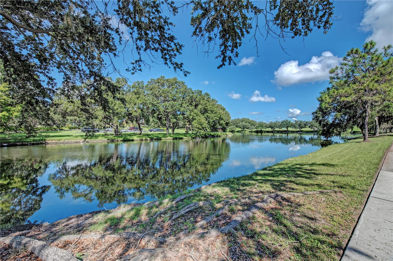 6622 OAKBROOKE CIR, BRADENTON, FL — photo 89