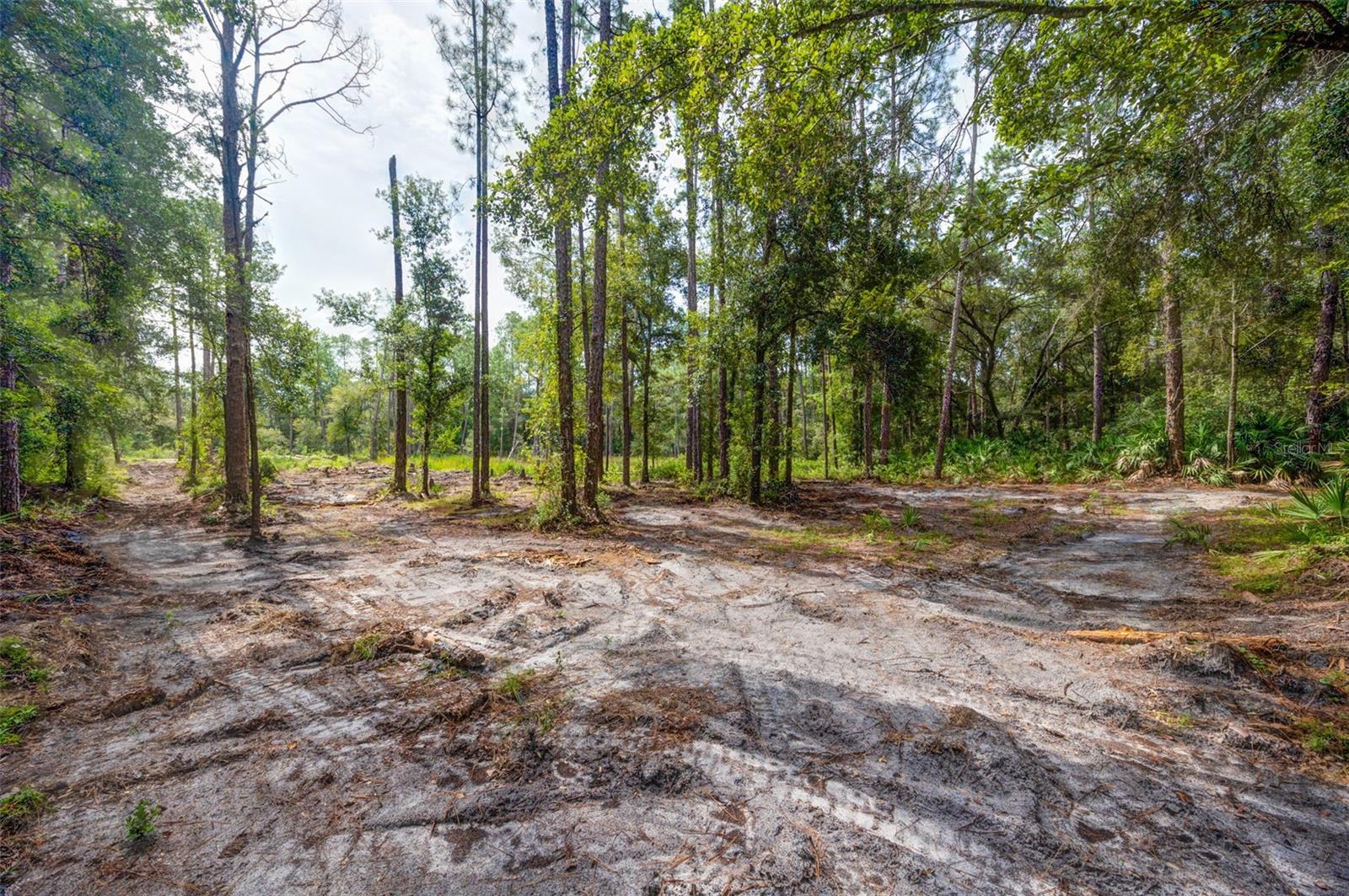 34389 GRINDSTONE DR, WEBSTER, FL — photo 5