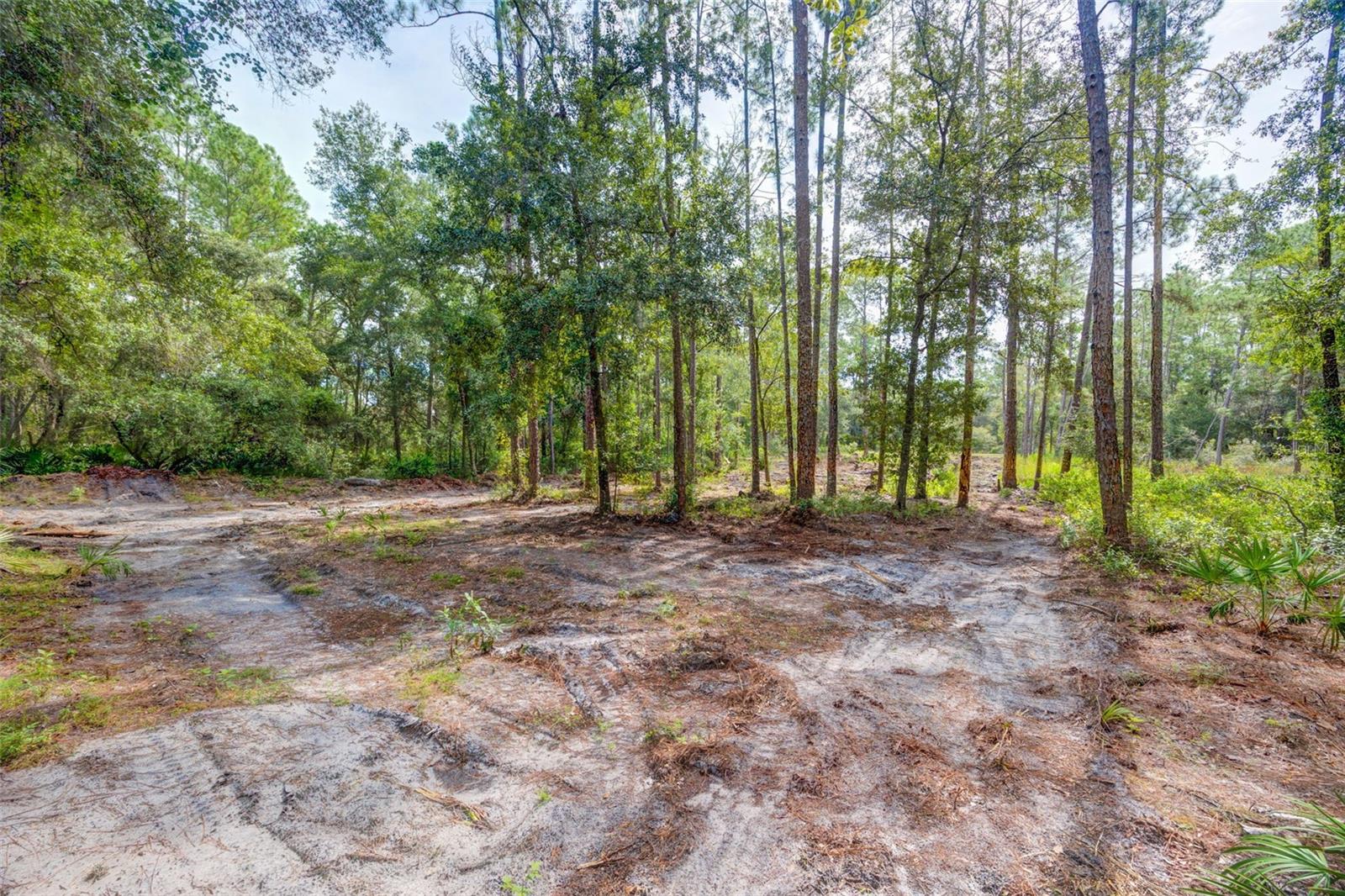 34389 GRINDSTONE DR, WEBSTER, FL