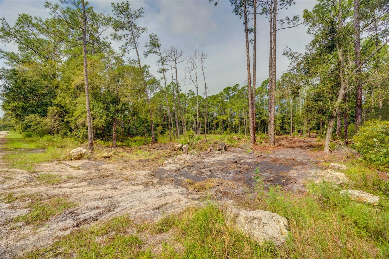 34389 GRINDSTONE DR, WEBSTER, FL — photo 9