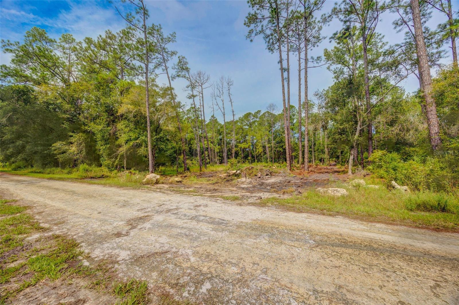 34389 GRINDSTONE DR, WEBSTER, FL — photo 10