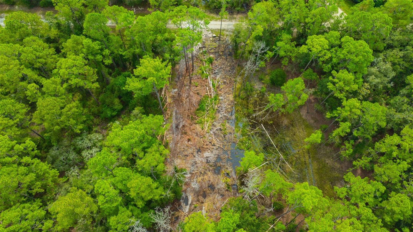 34389 GRINDSTONE DR, WEBSTER, FL — photo 11