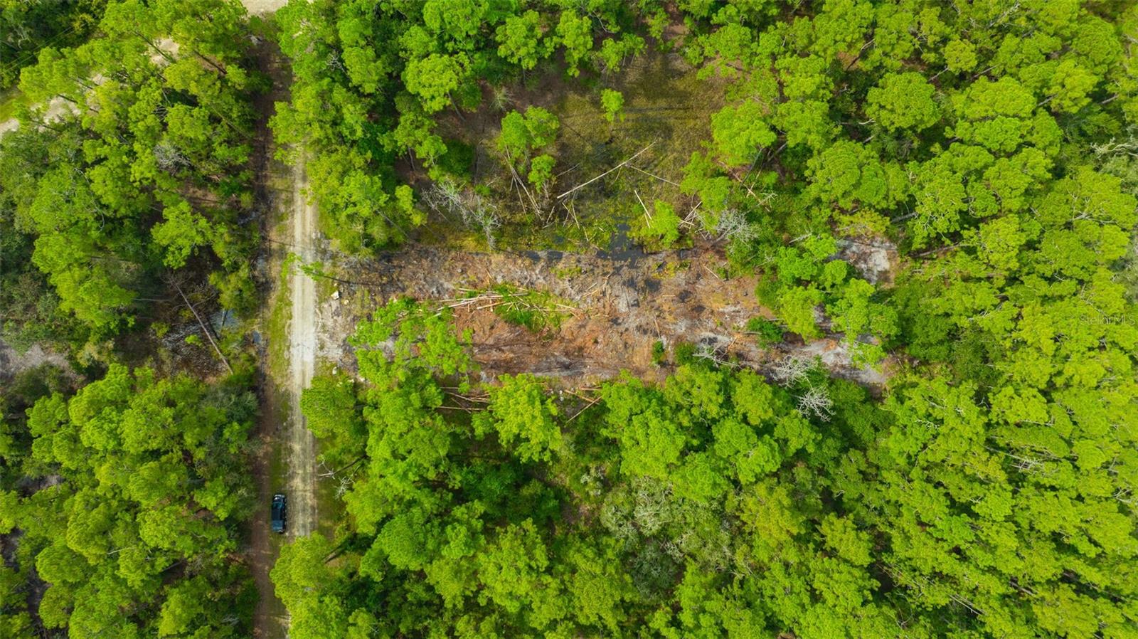 34389 GRINDSTONE DR, WEBSTER, FL — photo 12