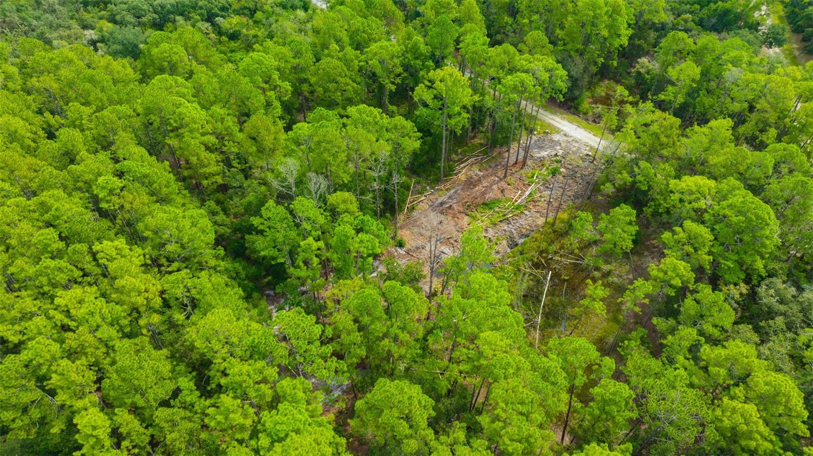 34389 GRINDSTONE DR, WEBSTER, FL — photo 15