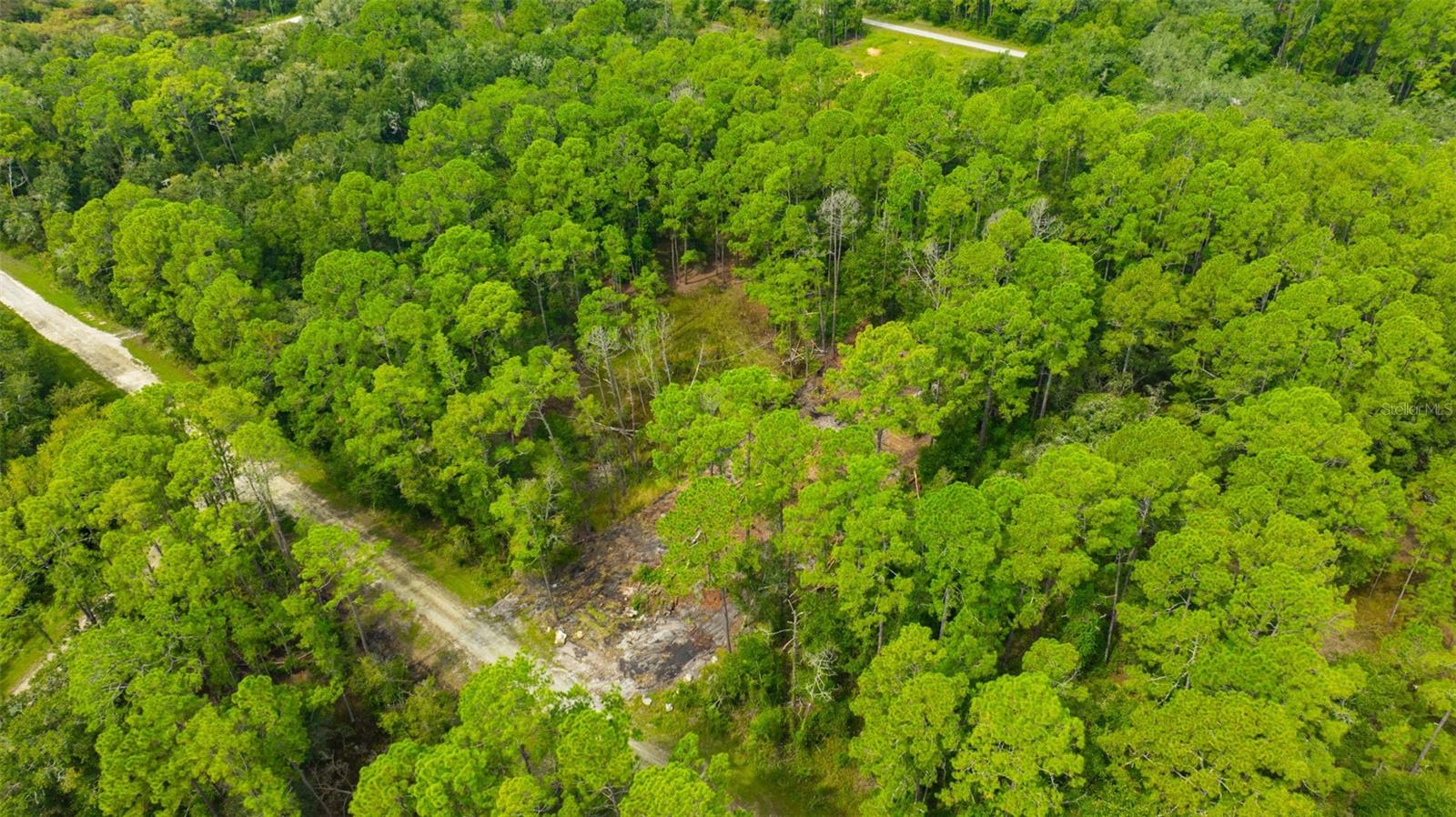 34389 GRINDSTONE DR, WEBSTER, FL — photo 16