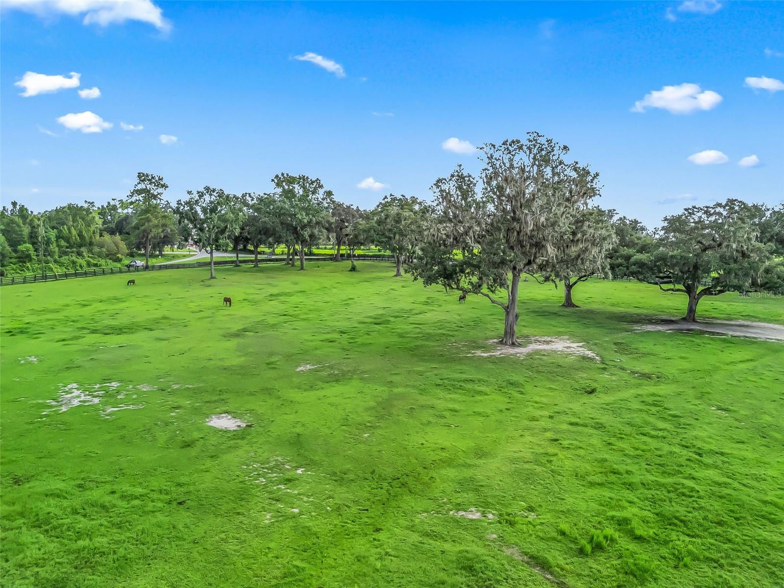 TBD NW 110TH AVE, OCALA, FL — photo 15