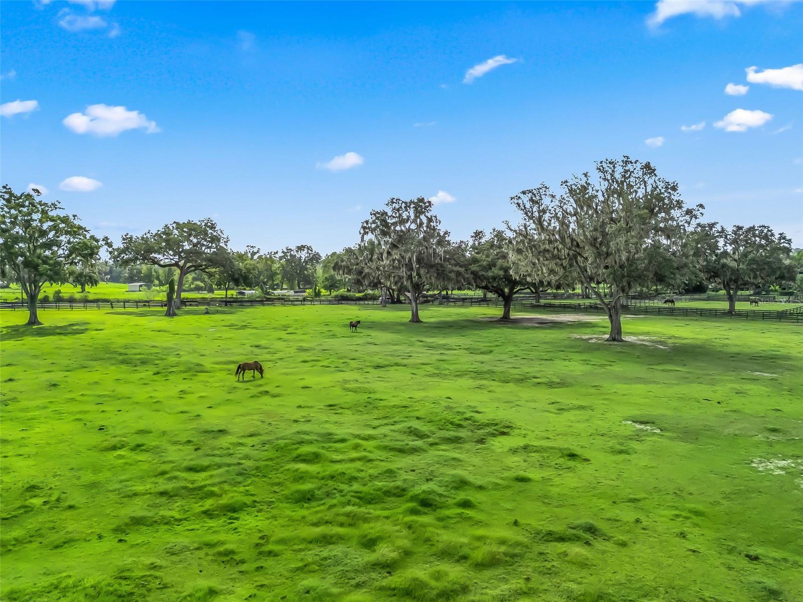 TBD NW 110TH AVE, OCALA, FL — photo 18
