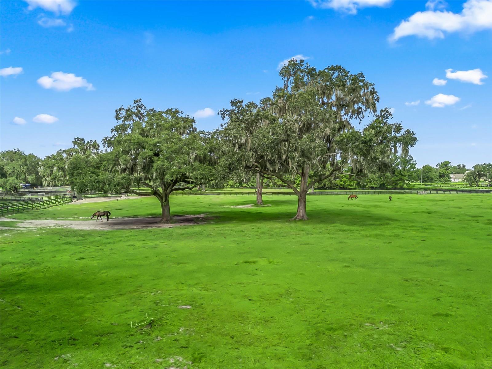 TBD NW 110TH AVE, OCALA, FL — photo 25