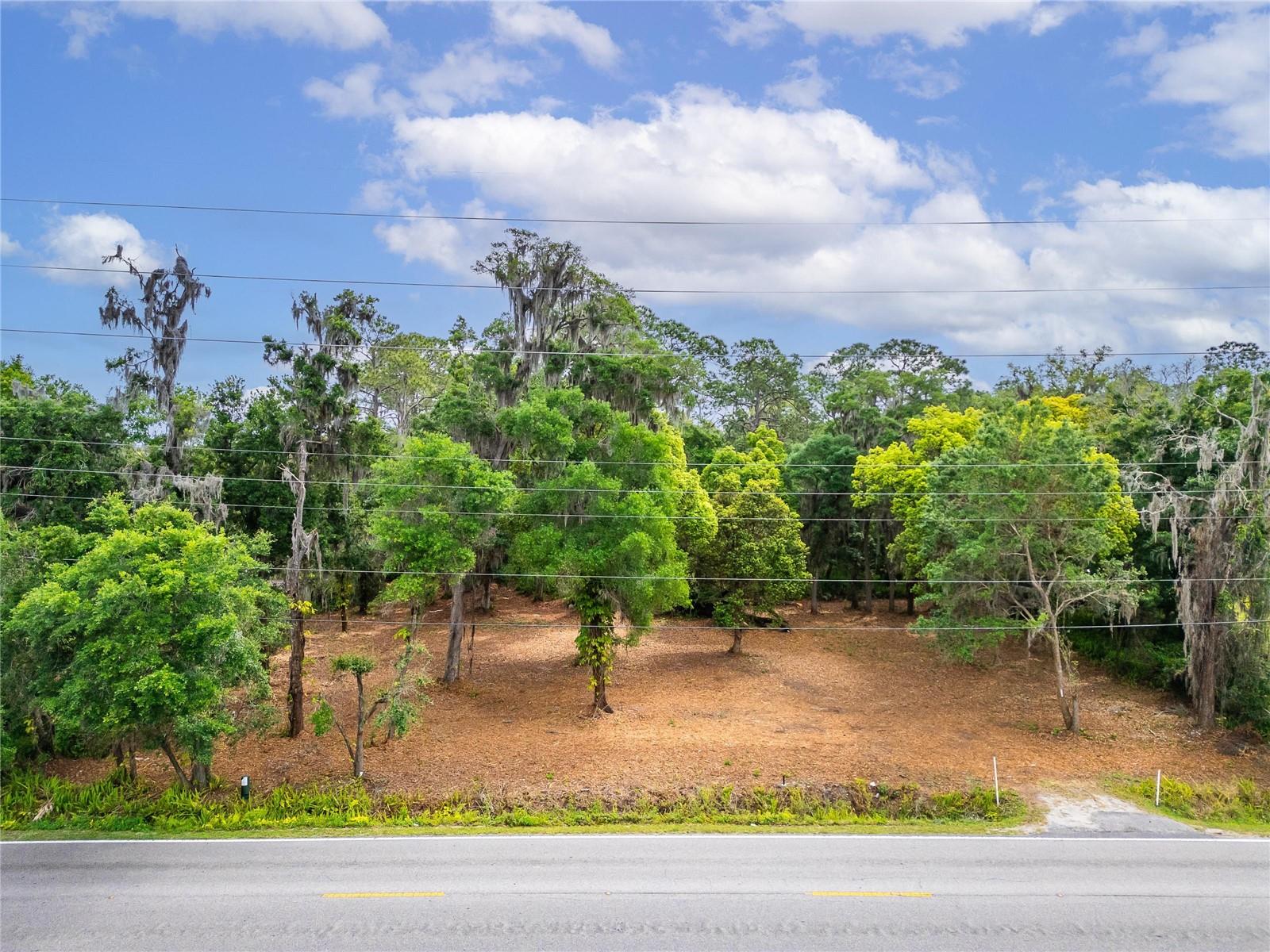 TURKEY CREEK, PLANT CITY, FL