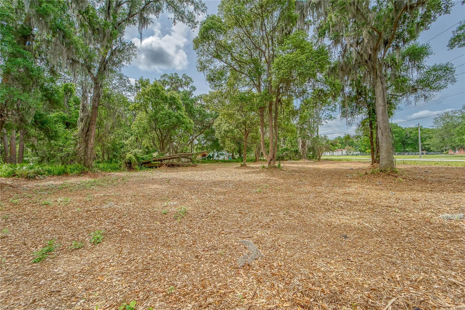 TURKEY CREEK, PLANT CITY, FL — photo 12