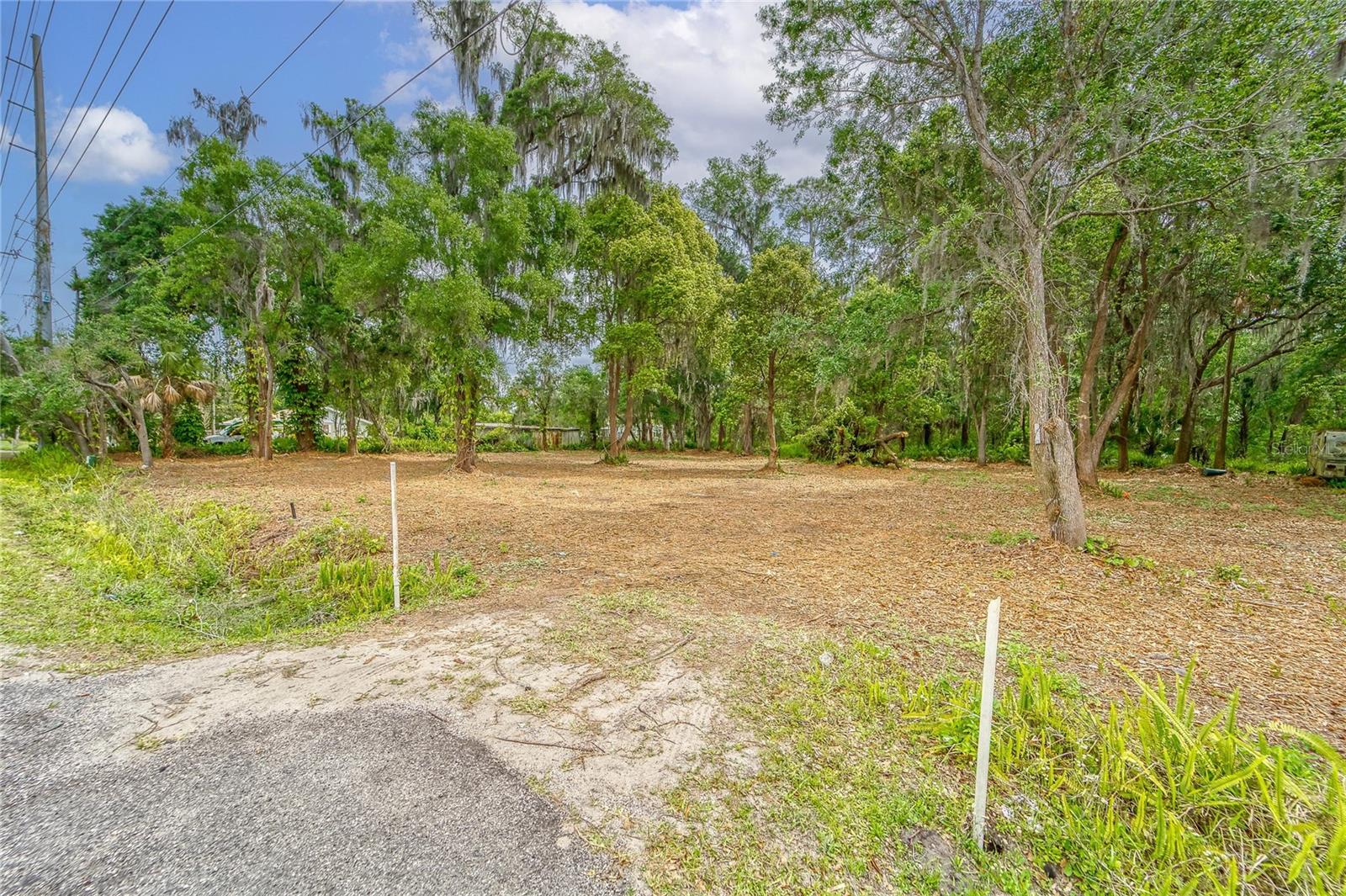 TURKEY CREEK, PLANT CITY, FL — photo 20