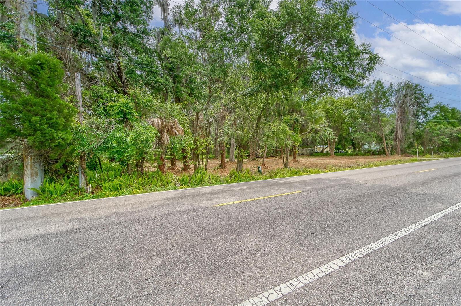 TURKEY CREEK, PLANT CITY, FL — photo 23