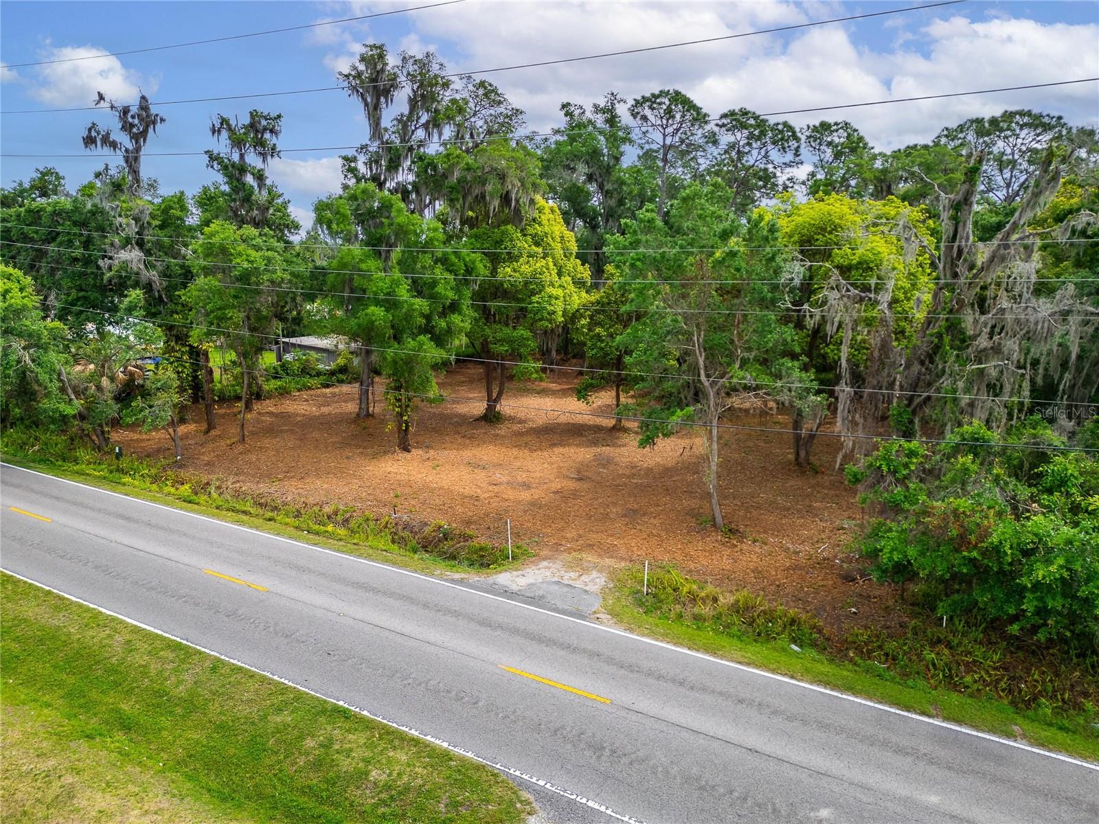TURKEY CREEK, PLANT CITY, FL — photo 25