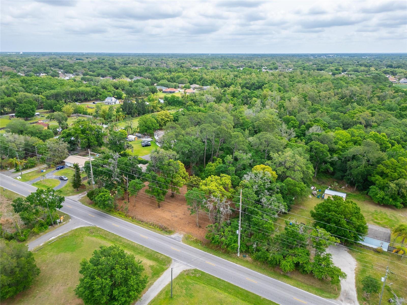 TURKEY CREEK, PLANT CITY, FL — photo 35