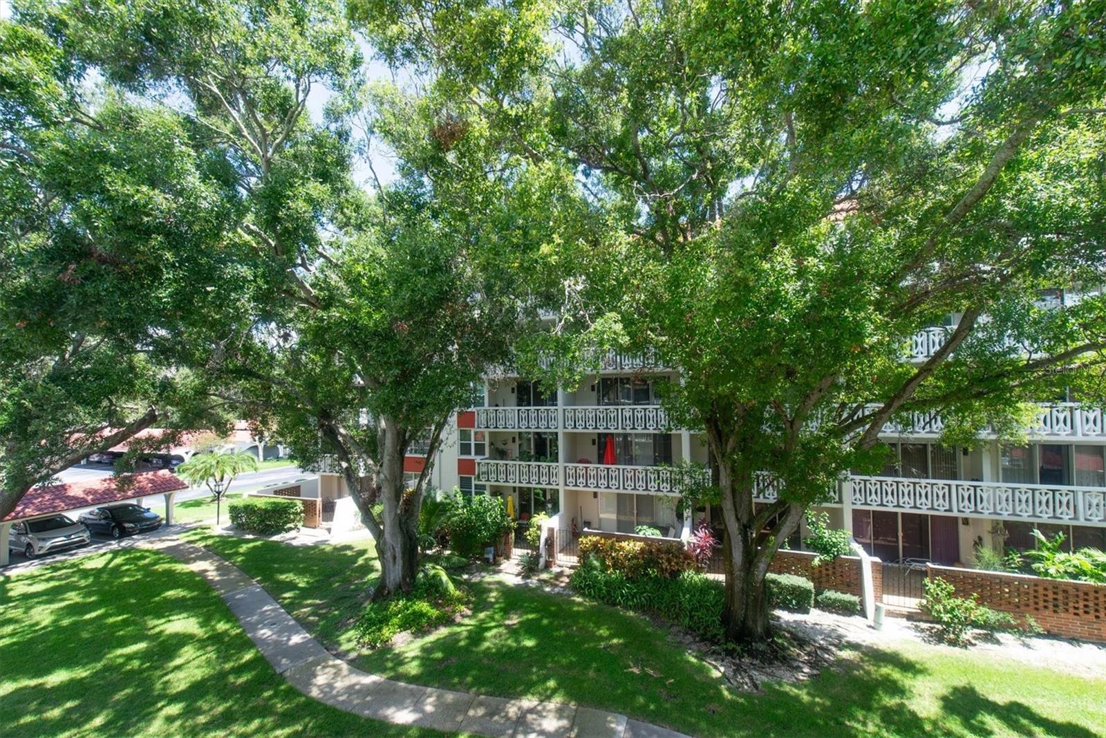 2612 PEARCE DR #310, CLEARWATER, FL — photo 45