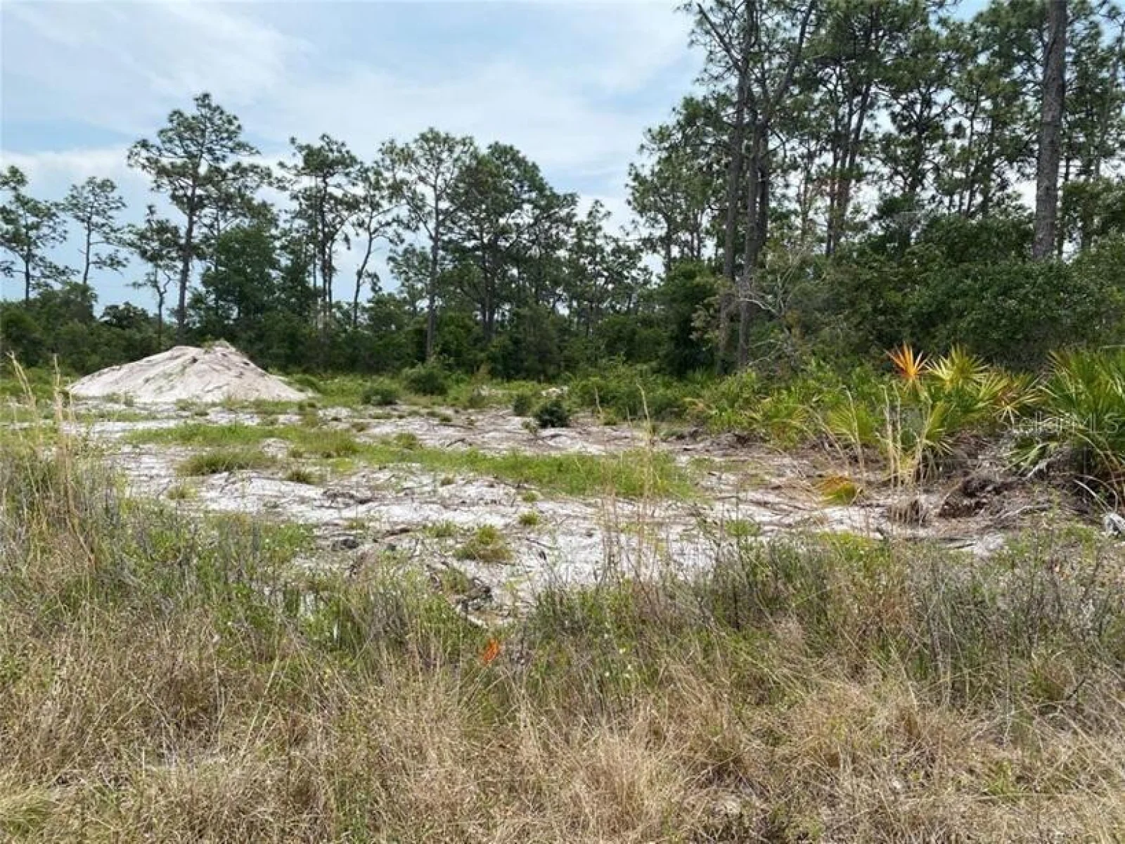 6591 DELAND AVE, INDIAN LAKE ESTATES, FL — photo 4
