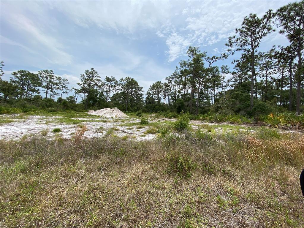 6691 DELAND AVE, INDIAN LAKE ESTATES, FL — photo 10