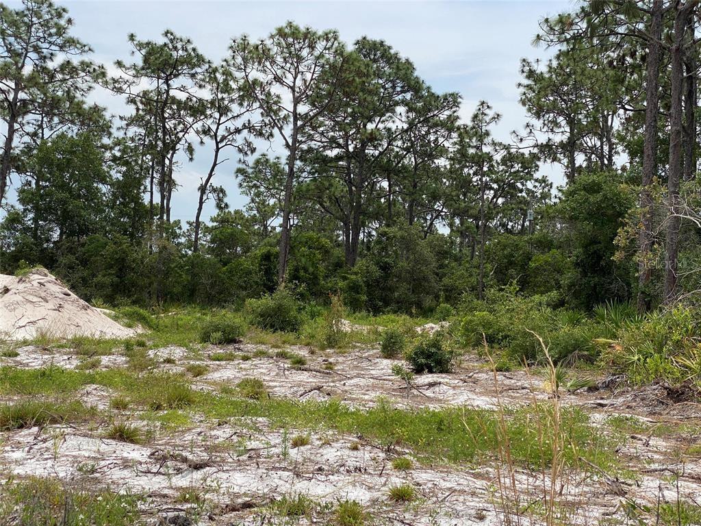 6691 DELAND AVE, INDIAN LAKE ESTATES, FL — photo 12