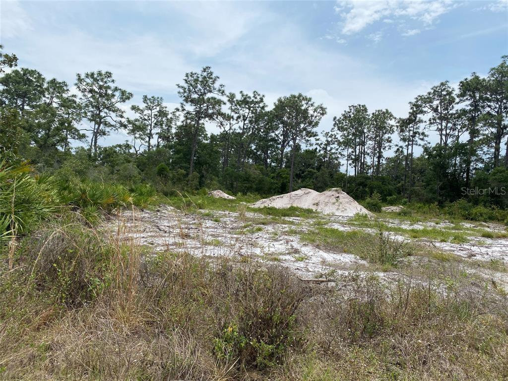 6691 DELAND AVE, INDIAN LAKE ESTATES, FL — photo 13