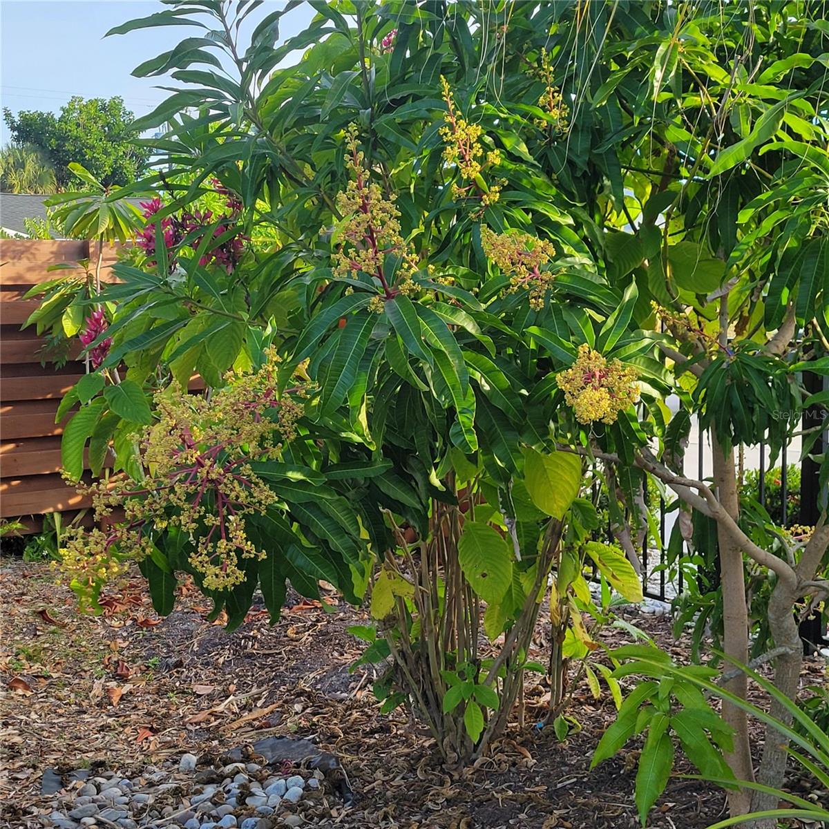 755 KENT RD, VENICE, FL — photo 21