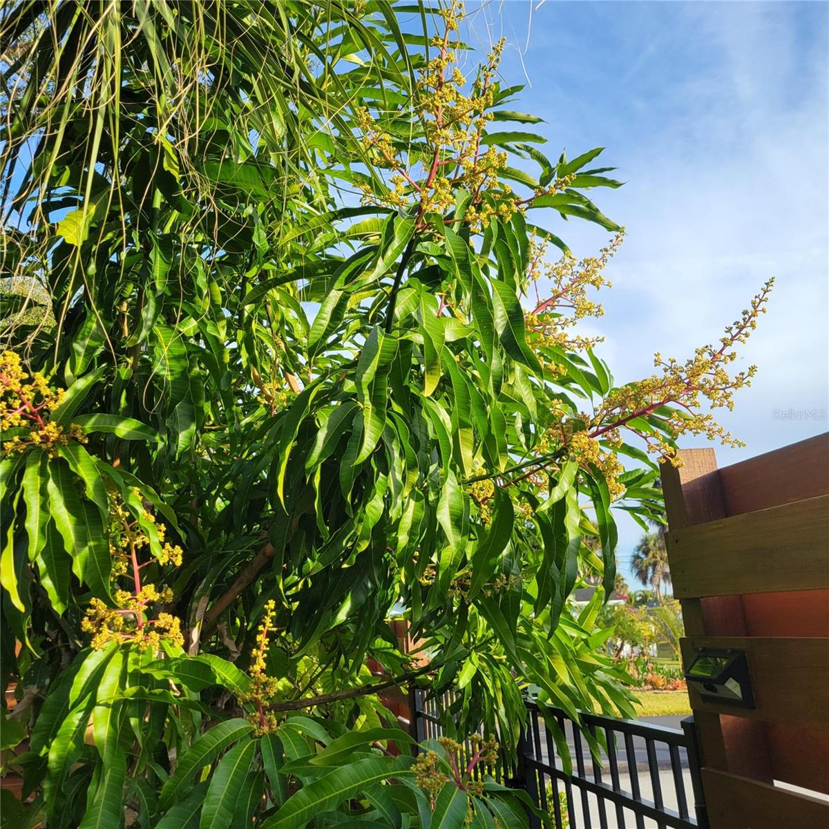 755 KENT RD, VENICE, FL — photo 22