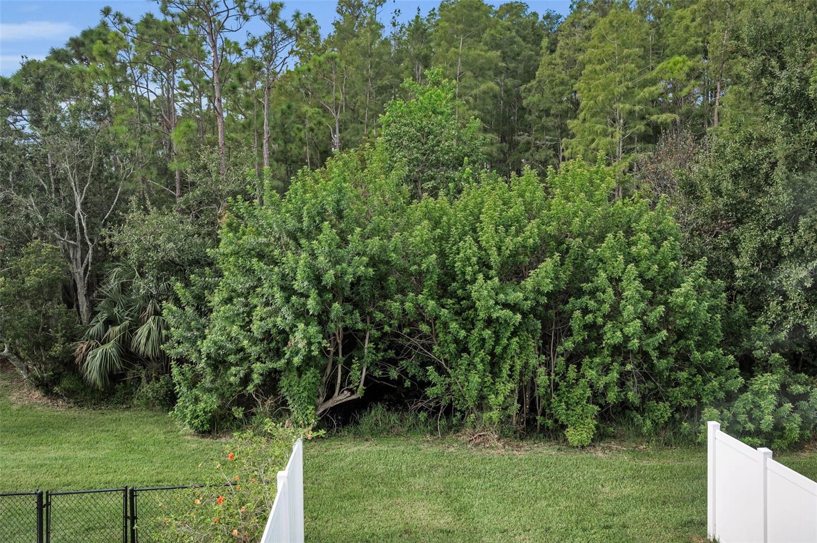 271 HEMINGWAY DR, OLDSMAR, FL — photo 21