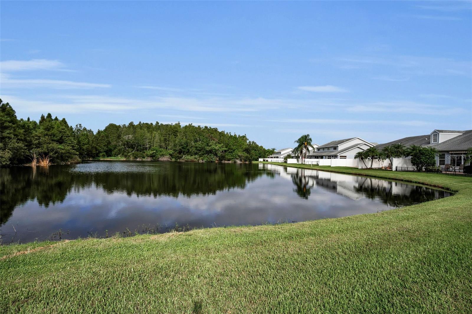 271 HEMINGWAY DR, OLDSMAR, FL — photo 31