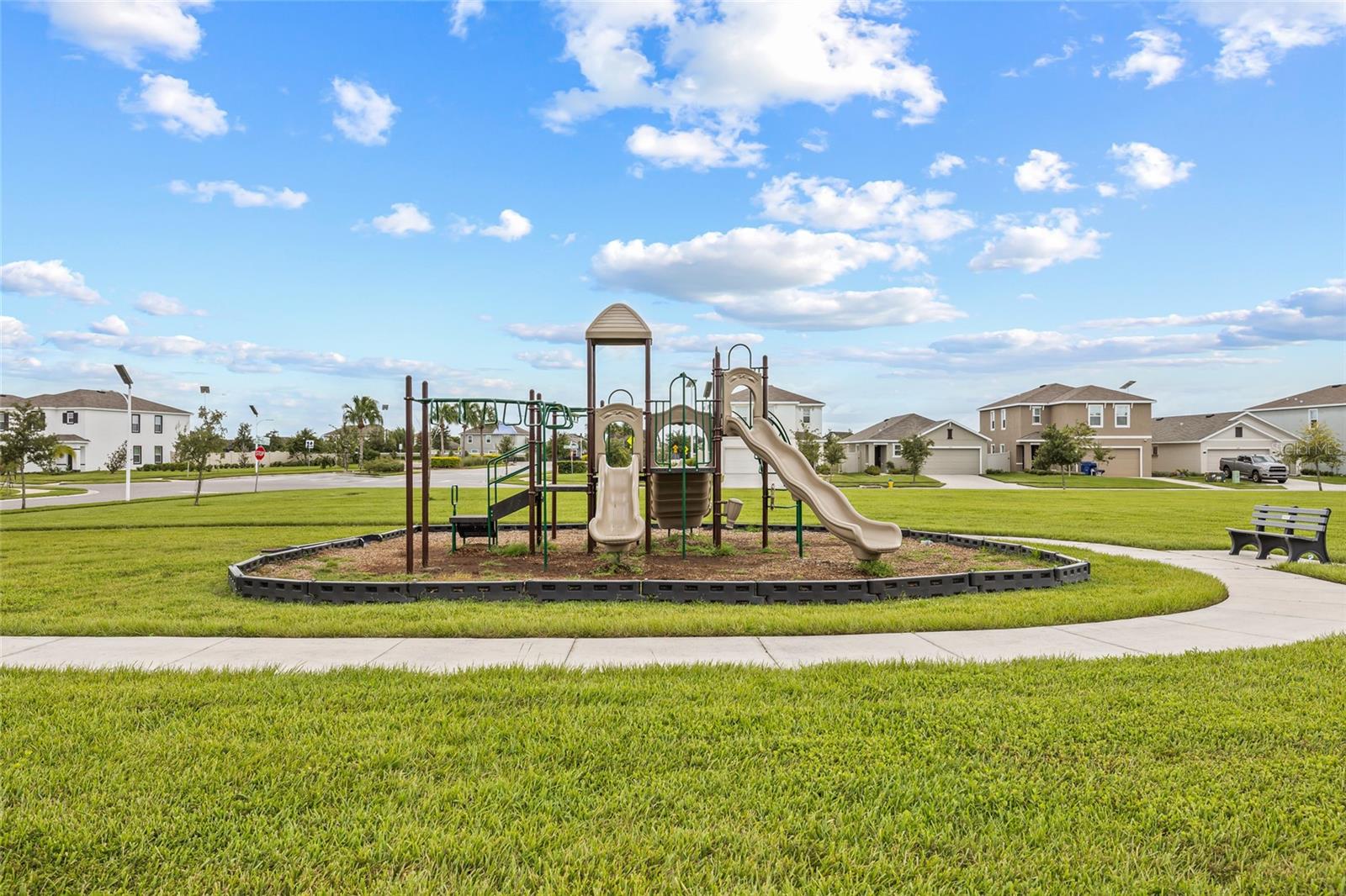 31276 PENNY SURF LOOP, WESLEY CHAPEL, FL — photo 45