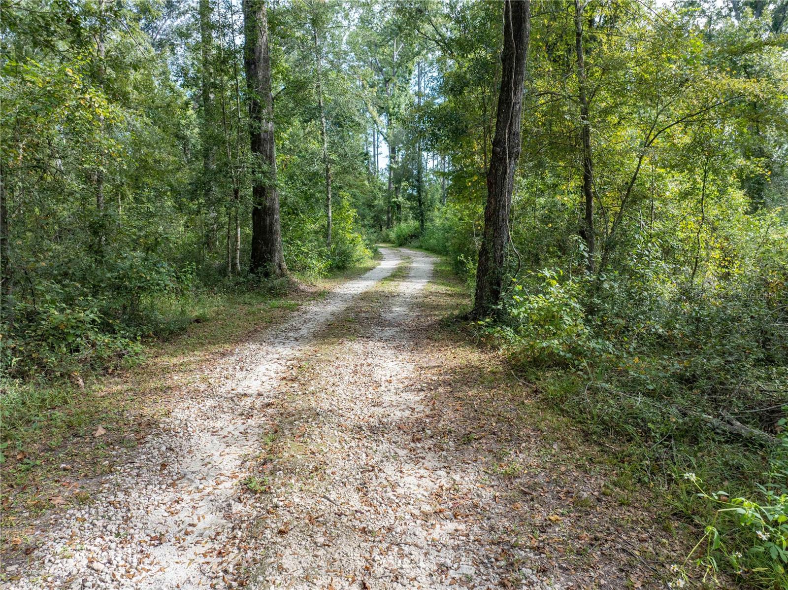 22205 N COUNTY ROAD 349, O'BRIEN, FL — photo 49