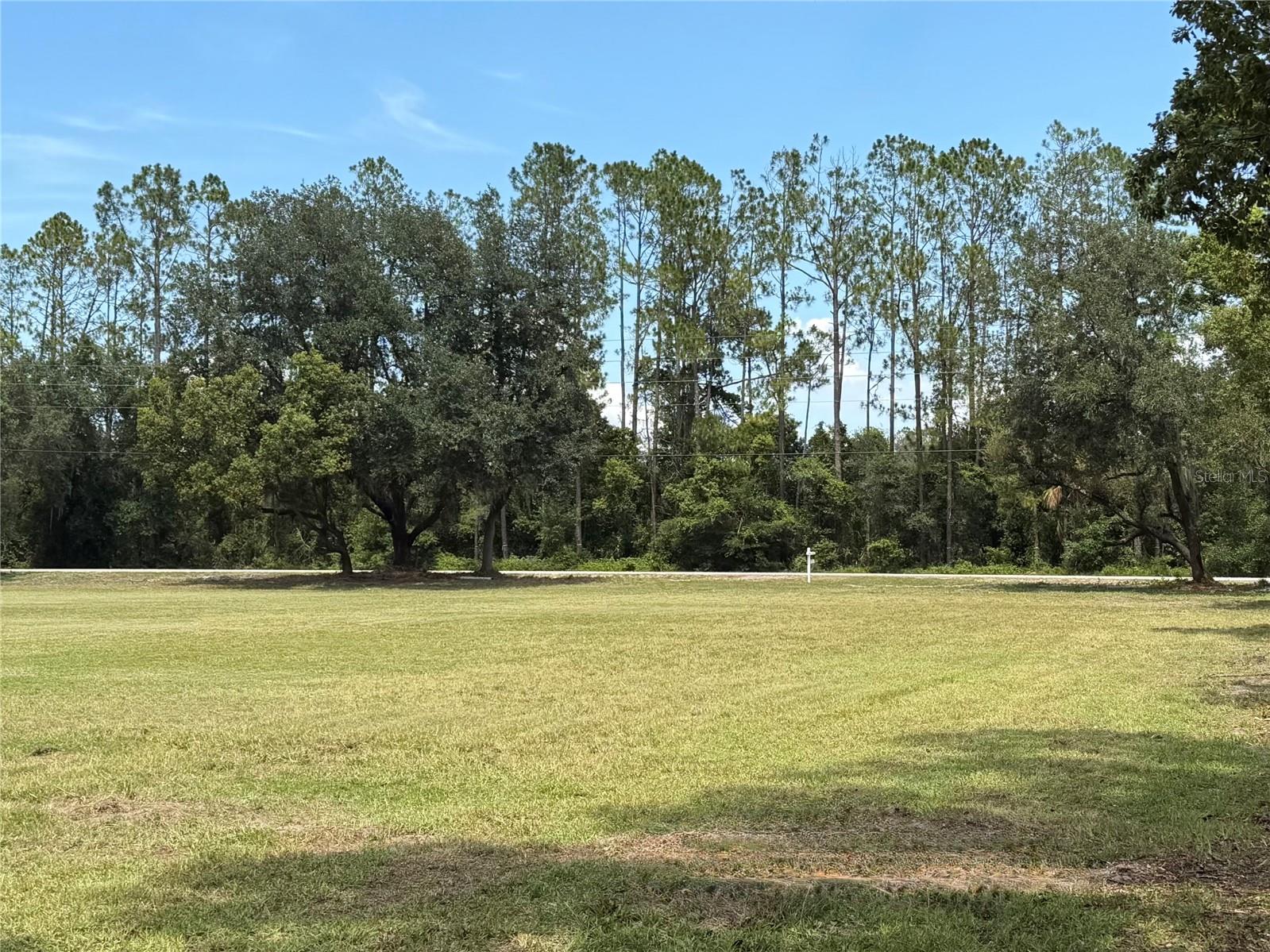 BELLAMY BROTHERS BLVD, DADE CITY, FL