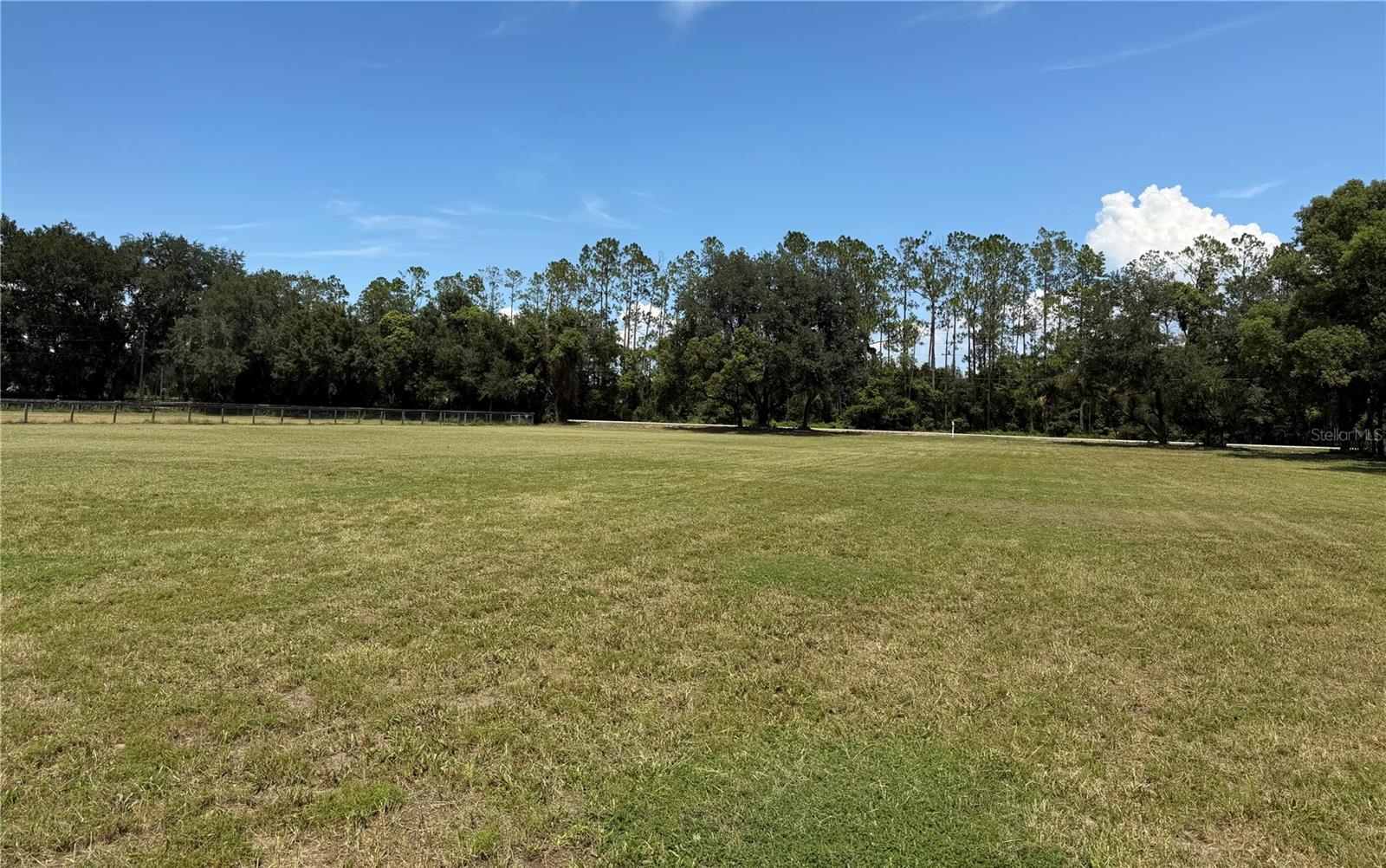 BELLAMY BROTHERS BLVD, DADE CITY, FL — photo 2